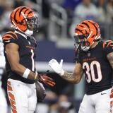bengals.jpg