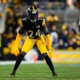 AFC Wild Card Playoffs: Houston Texans v Pittsburgh Steelers