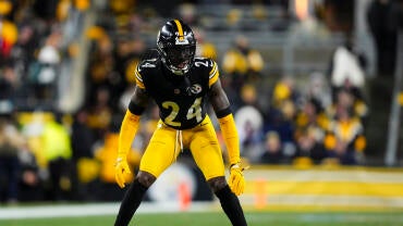 AFC Wild Card Playoffs: Houston Texans v Pittsburgh Steelers