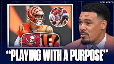 bengals.jpg