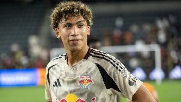 red-bulls-ny.jpg