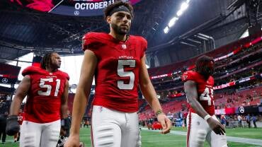 falcons.jpg