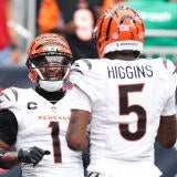 Cincinnati Bengals v Houston Texans