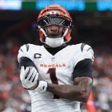 Cincinnati Bengals v Houston Texans
