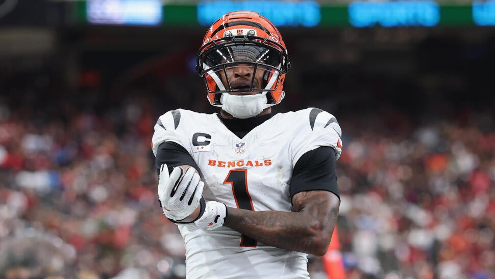 Cincinnati Bengals v Houston Texans