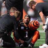 Jacksonville Jaguars v Cincinnati Bengals