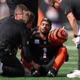 Jacksonville Jaguars v Cincinnati Bengals