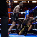 daniel-dubois-wardley-action.jpg