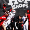 texastech.png