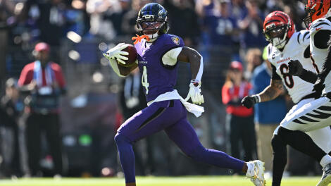 NFL: Cincinnati Bengals at Baltimore Ravens