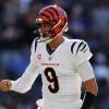 Cincinnati Bengals v Baltimore Ravens
