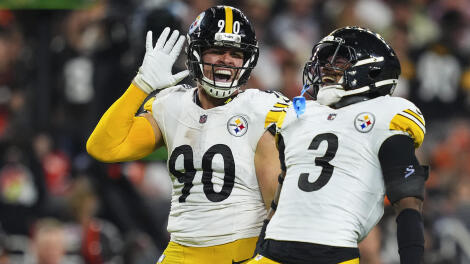 watt-steelers-g.jpg